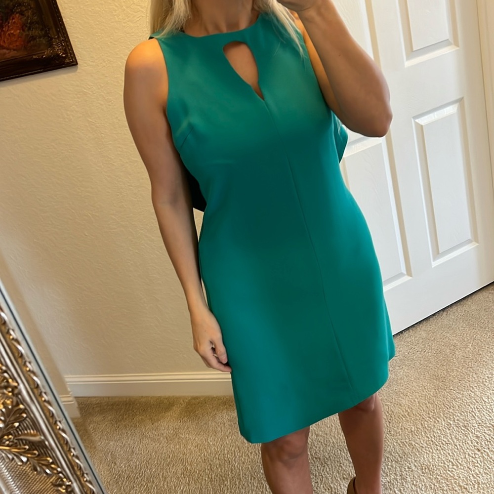 🪷RACHEL RACHEL ROY 🪷 beautiful Atlantis dress with golden zipper and open back . - Picture 3 of 16